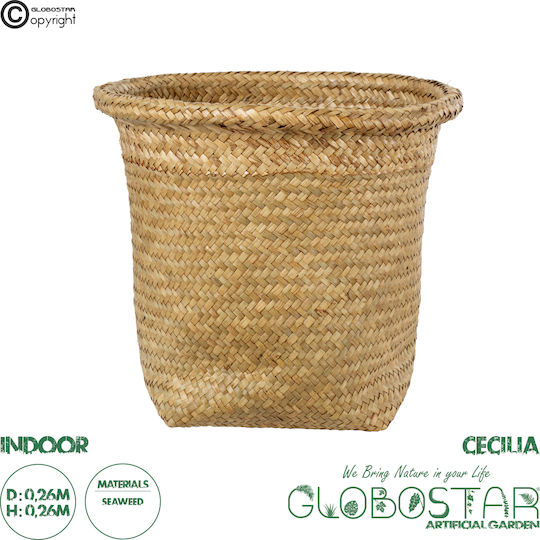 Globostar Artificial Garden Cecilia 20343 Decorative Wicker Basket Planter Flower Pot Beige Φ26cm X H26cm Globostar Artificial Garden Cecilia 20343 Decorative Wicker Basket Planter Flower Pot Beige Φ26cm X H26cm