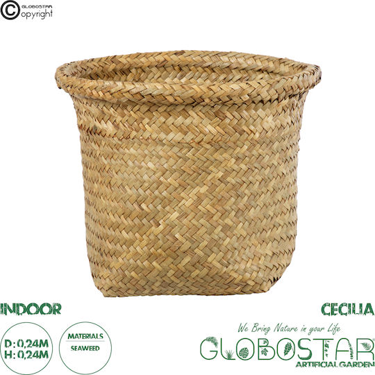 Globostar Artificial Garden Cecilia 20342 Decorative Wicker Basket Planter Flower Pot Beige Φ24cm X H24cm Globostar Artificial Garden Cecilia 20342 Decorative Wicker Basket Planter Flower Pot Beige Φ24cm X H24cm