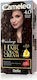 Delia Cosmetics Cameleo Hair Dye 4.0 Medium Brown