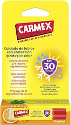 Carmex Moisturising Lip Balm SPF30