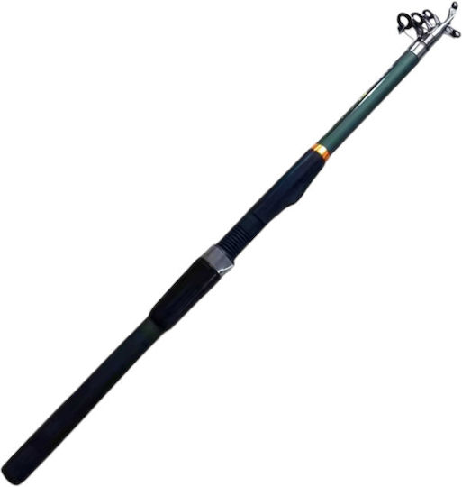 Καλάμι Ψαρέματος για Casting 3m 60-80gr