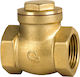 Check Valve Flap 1/4 Inch
