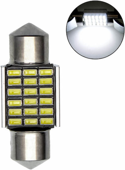 Lamps Car & Motorcycle C5W Canbus LED 6500K Cold White 12V 1pcs