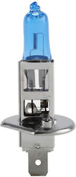 Lamp H1 Halogen Natural White