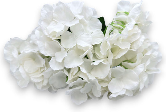 Hortensie Weißer Stiel 46 x 32 cm Stück 100 Rin-l100