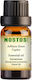 Nostos Pure Γεράνι Geranium Αιθέριο Έλαιο Γεράνι 100ml