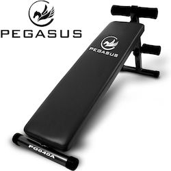 Pegasus Einstellbarer Trainingsbank für Unterleib
