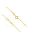 Xryseio Gold Chain Neck 14K