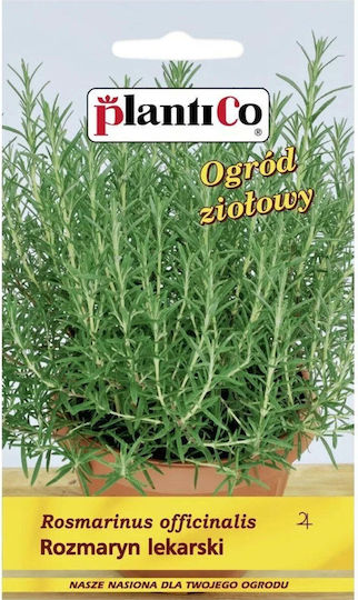 Polan Seeds Rosemary