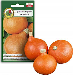 Semințe Vegetale Pnos Dovleac Giant Dolores Ambalaj 5g Semințe Vegetale Pnos Dovleac Giant Dolores Ambalaj 5g