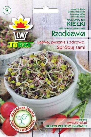 Toraf Radish Seeds Sprouts 20g Toraf
