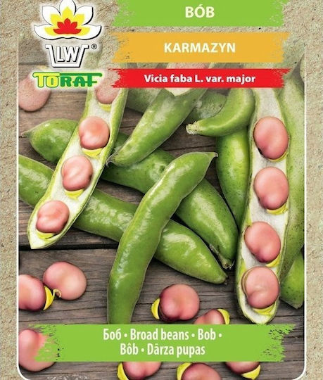 Toraf Vegetable Seeds Crimson Broad Bean 30g Package