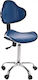 Quirumed Medical Stool with Backrest Blue QM9933B-AZ