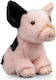 Porc de Pluș