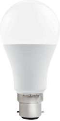 Vito LED 15W B22 Ψυχρό Λευκό