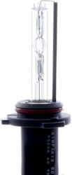 Einparts Lamp HB4-9006 Xenon Cold White Einparts Lamp HB4-9006 Xenon Cold White