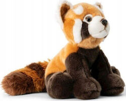 Dante Teddy Bear