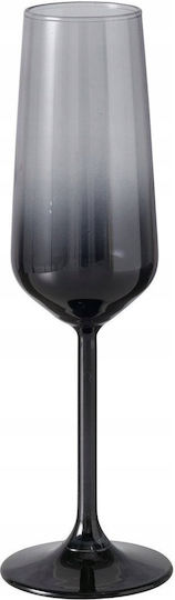 Boltze Glass Champagne made of Glass Goblet