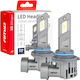 AMiO Lamps Car HB4-9006 Canbus LED 6000K Cold White 12V 50W 2pcs