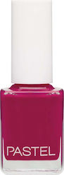 Pastel Oja 13ml