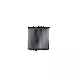 Water Radiator Citroen Xsara Picasso N68 Ava Quality Cooling Pe2300