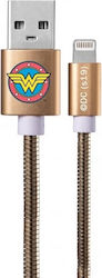 Iphone Usb USB-A to Lightning Iphone Usb USB-A to Lightning