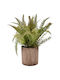 Flori și Plante Artificiale Decorative 23.5*7.5cm