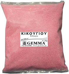 Gemma Σπόροι Γκαζόν Κικούγιου