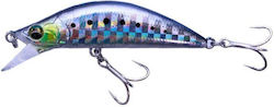 MajorCraft Finetail Eden Sw Custom Color Momeli...