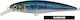 Τεχνητό Akami Real Minnow 10cm Sardine