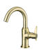 Deante Mixing Sink Faucet