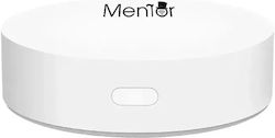 Gateway Συμβατό με Google Home & Alexa