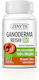 Zenyth Ganoderma Bio 300mg 60 Capsule