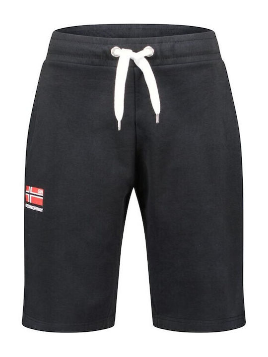 Geographical Norway