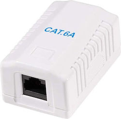 Logilink Np0100 Cat.6a Стенно Гнездо 1x RJ45 Неекранирано Чисто Бяло Logilink Np0100 Cat.6a Стенно Гнездо 1x RJ45 Неекранирано Чисто Бяло