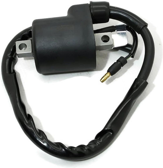 Honda Ignition Coil C50c 12V Astrea Grand Supra Kriss Kazer Aspira