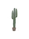 Decorative Synthetic Plant Hm4742 Cactus Pot 17 5x26x103cm