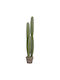 Decorative Synthetic Plant Hm4744 Cactus Pot Φ17 5x105cm