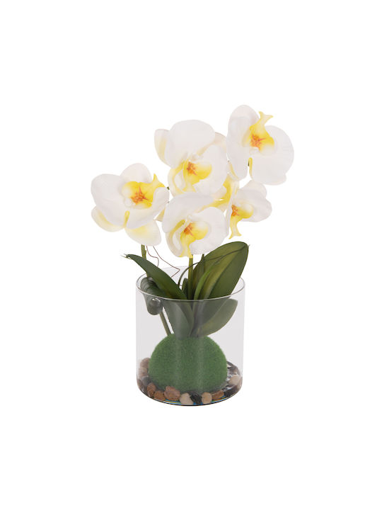 Dekoratives Künstliches Pflanze Hm4738 Blume Phalaenopsis Glasvase 12x24x30cm