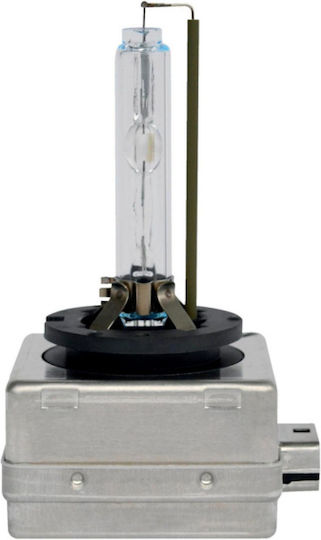 Würth Bec Auto Xenon D3s Xenon 12 V