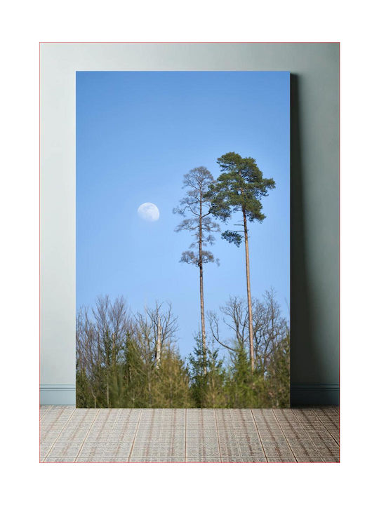 Πίνακας Tall Trees Under Moonlight Ψηλά Δέντρα Κάτω Φως Του Φεγγαριού 60x90
