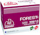 Forest Heftklammern 108-13/5.000