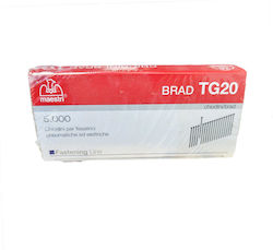 Tg 20/5.000 Nägel