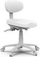 Digas G. Medical Stool with Backrest White 25986-00