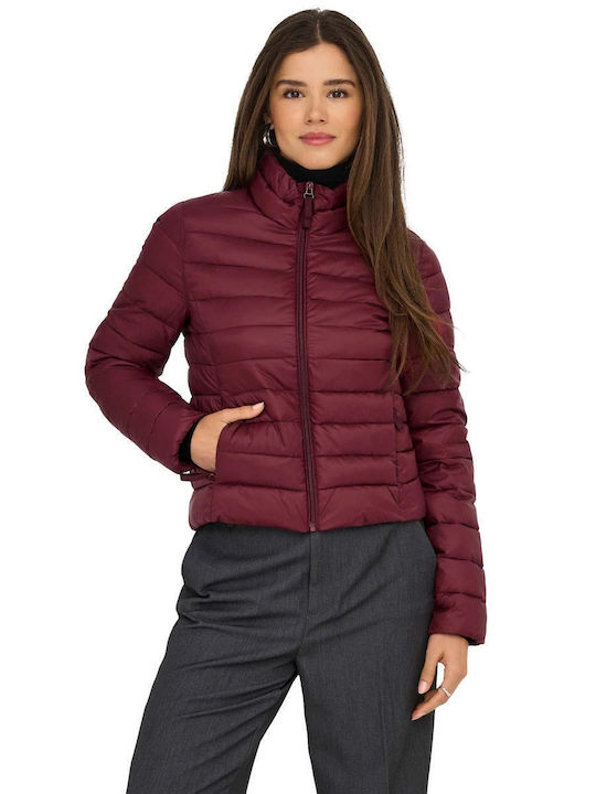 Damen Puffer Jacke für Winter Burgundisch