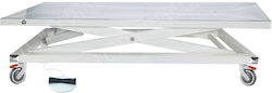 Veterinary Surgery Table Tav002 Lory