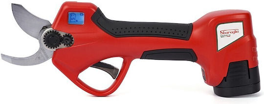 Sbaraglia Eduard 32 Baumschere Batterie Bürstenlos 16.8V 2x2Ah mit Maximalem Schnittdurchmesser 32mm