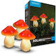 Modee Lighting Σετ 3 Ηλιακά Φωτιστικά με Θερμό Λευκό Φως 2700K IP44 85x85x10εκ.