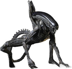 Alien Alien