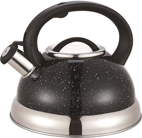 Maestro Ceainic Din Aluminiu 3000ml